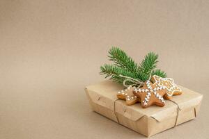 Navidad pan de jengibre galletas, ecológico caja y ramita de abeto foto