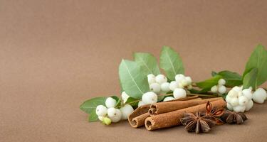 Natural ecological holiday composition with cinnamon and berries photo