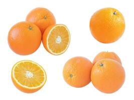 Oranges set isolated photo