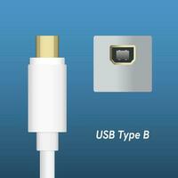 USB type B Cable Plugs and Socket Isolated on Blue Background. vector