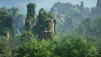 A dense forest with towering rocks and majestic trees photo