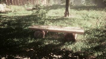 Old Shabby Wooden Bench in Park Made of a Single Tree Trunk photo