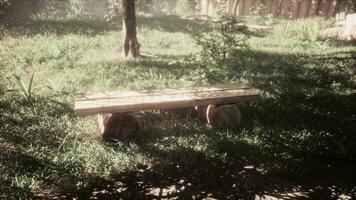 Empty park bench in a Japanese park photo