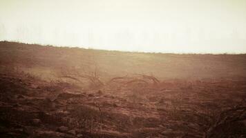 Storm of dust and sand in desert photo