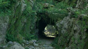 A moss-covered tunnel in a lush tropical jungle photo