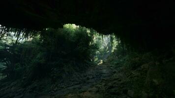 un escénico suciedad camino rodeado por lozano arboles dentro un cautivador cueva foto