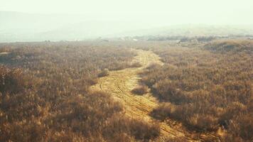 amazing photograph of a rocky terrain with some grass in the mist photo