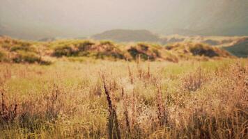 amazing shot of a rocky landscape partially covered with grass in a fog photo