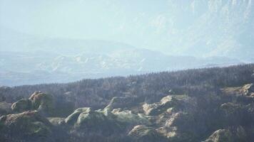 increíble imagen de un rocoso paisaje con césped y niebla foto