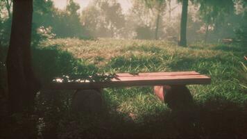 Cosy wooden bench under a tree in idyllic rural landscape with sun shining photo