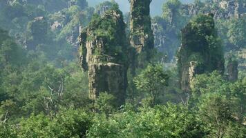 A cluster of rocks nestled in the heart of a serene forest photo