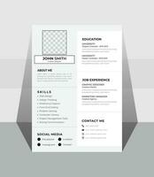 A CV template that is neat and current vector