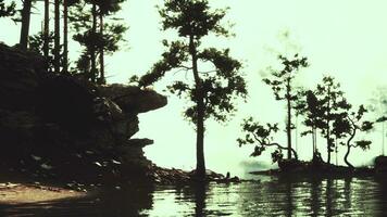 scenic mountain vista, with a tranquil lake and towering pines photo