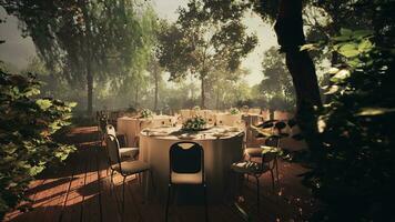 Empty restaurant patio with a canopy of trees overhead photo