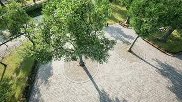 View from the height of the park with a green lawn and paths photo