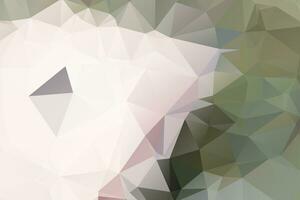 Low Poly Background vector