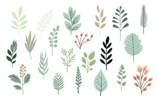 green leaf object element set. vector illustration for postcard,sticker