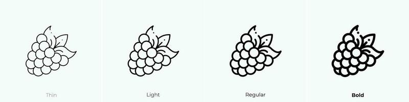 raspberry icon. Thin, Light, Regular And Bold style design isolated on white background vector