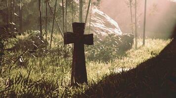 worn memorial cross in a dense forest photo