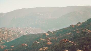 impressive shot of a foggy rocky terrain with some vegetation photo