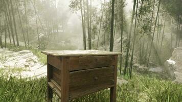 A rustic wooden table surrounded by the serenity of a vibrant green forest photo