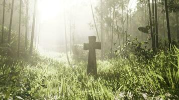 rustic stone cross amidst lush foliage photo