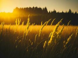 AI generated Glowing Fields of Winter Soft Focus Sunset Meadow with Yellow Flowers Nature's Embrace. A Symphony of Colors Warm Winter Sunset Meadow with Abstract Soft Focus Nature Harmony photo