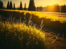 AI generated Glowing Fields of Winter Soft Focus Sunset Meadow with Yellow Flowers Nature's Embrace. A Symphony of Colors Warm Winter Sunset Meadow with Abstract Soft Focus Nature Harmony photo