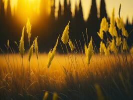 AI generated Glowing Fields of Winter Soft Focus Sunset Meadow with Yellow Flowers Nature's Embrace. A Symphony of Colors Warm Winter Sunset Meadow with Abstract Soft Focus Nature Harmony photo