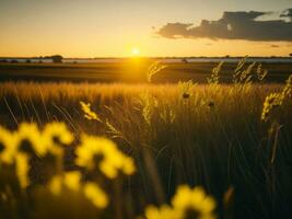 AI generated Glowing Fields of Winter Soft Focus Sunset Meadow with Yellow Flowers Nature's Embrace. A Symphony of Colors Warm Winter Sunset Meadow with Abstract Soft Focus Nature Harmony. photo