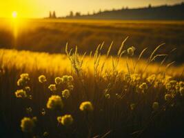 AI generated Glowing Fields of Winter Soft Focus Sunset Meadow with Yellow Flowers Nature's Embrace. A Symphony of Colors Warm Winter Sunset Meadow with Abstract Soft Focus Nature Harmony. photo