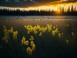 AI generated Glowing Fields of Winter Soft Focus Sunset Meadow with Yellow Flowers Nature's Embrace. A Symphony of Colors Warm Winter Sunset Meadow with Abstract Soft Focus Nature Harmony. photo