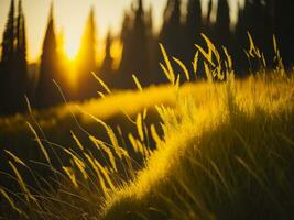 AI generated Glowing Fields of Winter Soft Focus Sunset Meadow with Yellow Flowers Nature's Embrace. A Symphony of Colors Warm Winter Sunset Meadow with Abstract Soft Focus Nature Harmony. photo