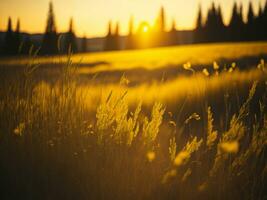 ai generado brillante campos de invierno suave atención puesta de sol prado con amarillo flores de la naturaleza abarcar. un sinfonía de colores calentar invierno puesta de sol prado con resumen suave atención naturaleza armonía. foto