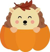 Autumn hedgehog inside a pumpkin vector