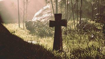 ancient stone cross in the midst of tropical flora photo