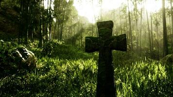 moss-covered tombstone in the dense forest photo