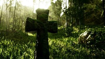 decaying stone cross marking a final resting place in the jungle photo