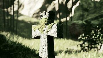 old graveyard in bamboo jungle grove photo