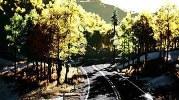 road and yellow mountain forest at sunset photo