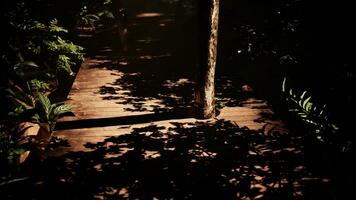 Envejecido de madera pista meandros mediante un brillantemente iluminado selva foto