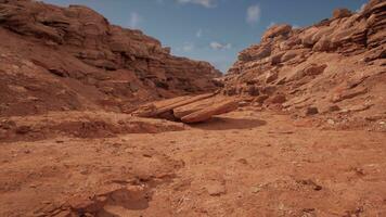 Red rock Grand canyon National conservation area in Nevada photo