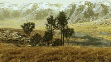 un escénico paisaje con arboles y montañas en el antecedentes foto