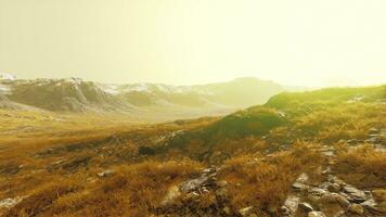 A picturesque mountain landscape with a lush green field in the foreground photo