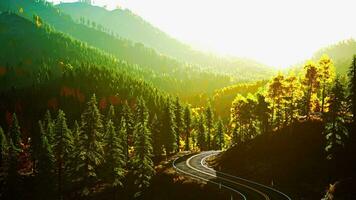 A winding road through a picturesque forest at sunset photo