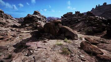 rojo rock grandioso cañón nacional conservación zona en Nevada foto