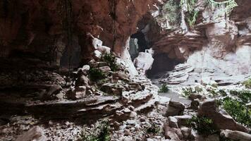 A lush and rocky cave filled with vibrant plants and natural formations photo