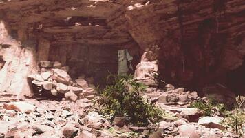 A natural cave with beautiful rock formations and lush plant life photo