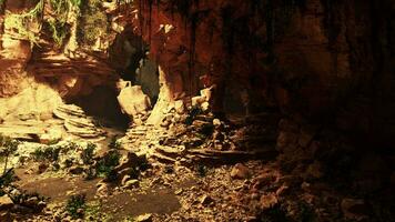 un misterioso y lozano cueva lleno con un abundancia de rocas y plantas foto