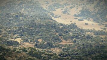 A majestic mountain range framed by lush trees photo